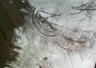 photo of ripples on pond