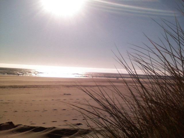 Photo of Ocean Beach