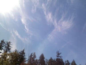 Photo of Sunshine