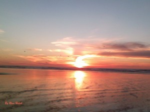 Photo of Ocean Sunset