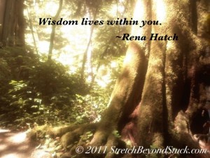 Photo of tree with quote