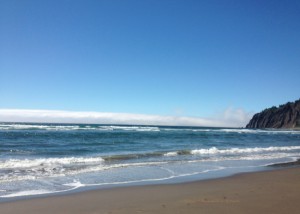 Photo of Oregon Coast
