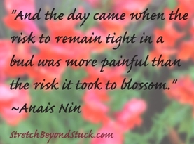 anais nin quote